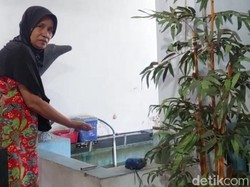 Bocah 5 Tahun Asal Kota Probolinggo Tewas Mengambang di Kolam Koi Rumahnya