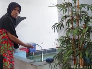 Bocah 5 Tahun Asal Kota Probolinggo Tewas Mengambang di Kolam Koi Rumahnya Bocah 5 Tahun Asal Kota Probolinggo Tewas Mengambang di Kolam Koi Rumahnya