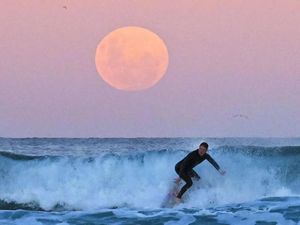 Apa yang Bakal Terjadi Setelah Bulan Makin Menjauh dari Bumi?