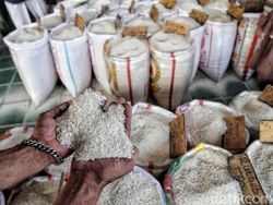Opsi Impor 1 Juta Ton Beras, DPR Minta Serap Gabah Petani Dahulu