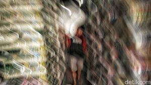 Fakta Terbaru Rencana RI Impor Beras Lagi