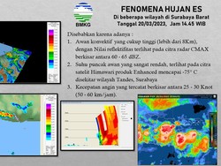 Penjelasan BMKG Penyebab Hujan Es di Surabaya Barat Hari Ini