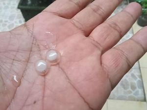 Hujan Es Guyur Surabaya Disertai Angin Kencang Hujan Es Guyur Surabaya Disertai Angin Kencang