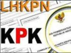 LHKPN dan Mandulnya Pengawasan Inspektorat