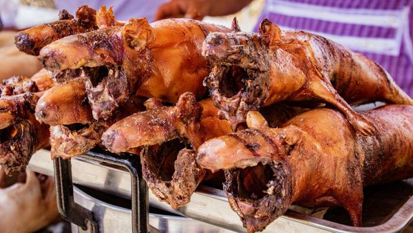 10 Makanan Enak yang Wajib Dicoba Minimal Sekali Seumur Hidup