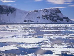 PBB Rilis Laporan Situasi Perubahan Iklim Terbaru