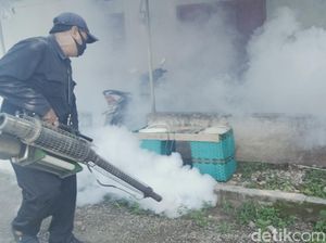 Duh! DBD Renggut 7 Korban Jiwa di Klaten, Meningkat Drastis dari 2022
