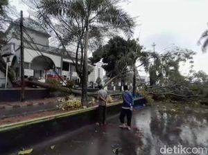 Hujan Deras Disertai Angin, Sejumlah Pohon Tumbang di Pandeglang