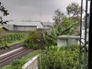 Pohon Besar Tumbang Timpa Rel Kereta Api di Manukan Kulon Surabaya