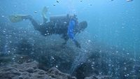 Potret Gunung Api Bawah Laut di Aceh yang Jadi Idola Penyelam