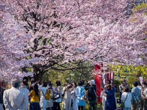 Tahun 2070, Jepang Berpotensi Menuju Lenyap Tahun 2070, Jepang Berpotensi Menuju Lenyap