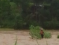 Momen Petani di Banjarnegara Terjebak Banjir Bandang Usai Berladang