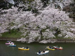 Ingin Liburan ke Jepang? Siapin Budget Rp 18-20 Jutaan