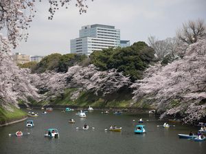 Jepang Wajibkan WNI Tes TBC Mulai April 2024, Ini Penjelasan Kemenkes Jepang Wajibkan WNI Tes TBC Mulai April 2024, Ini Penjelasan Kemenkes