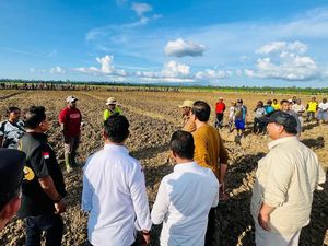 Prabowo Lanjutkan Proyek Food Estate!