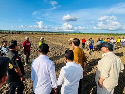Prabowo Lanjutkan Proyek Food Estate!