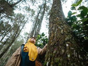 Hari Hutan Internasional 2023, Yuk Jaga Kelestariannya Hari Hutan Internasional 2023, Yuk Jaga Kelestariannya