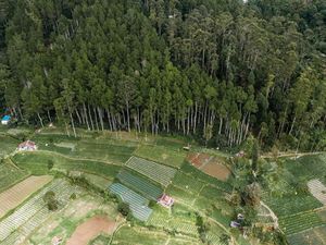 2 Oktober Hari Habitat Sedunia, Begini Sejarah dan Tujuannya