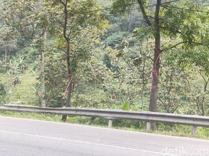 Lenyapnya Spanduk Ridwan Kamil Moal Dipilih Deui di Garut Lenyapnya Spanduk Ridwan Kamil Moal Dipilih Deui di Garut