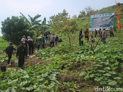 Gersang dan Gundul, Begini Kritisnya Kondisi Pegunungan Kendang Kudus