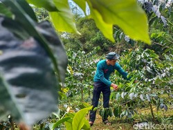 Saatnya Jaga Hutan Tetap Lestari
