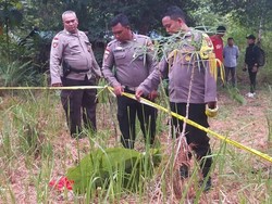 Heboh Potongan Jasad Bayi Dibawa Anjing Liar di Kalbar, Polisi Selidiki