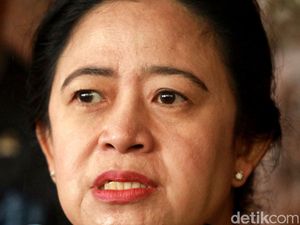 Puan Minta Sindikat TPPO Jual Ginjal ke Kamboja Diusut Tuntas
