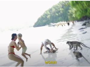 Sang Ayah Ngamuk, Anaknya Hampir Digondol Monyet Saat Liburan