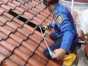 Cium Bau di Loteng Rumahnya, Warga Bogor Kaget Temukan Bangkai Ular