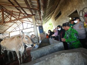 Petani Banyuwangi Pelan-pelan Lepas dari Ketergantungan Pupuk Bersubsidi