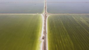 Penampakan Danau Garam Terbesar di China