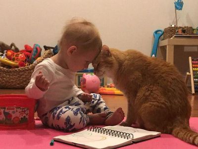 Potret Kucing Jadi Babysitter, So Sweet...