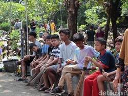 Puluhan Siswa SD di Ponorogo Bantu Bersihkan Makam dan Dibayar Seikhlasnya