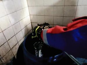 Untung Ketahuan! Ular Sanca 2 Meter Masuk di Bak Mandi Warga Jaktim