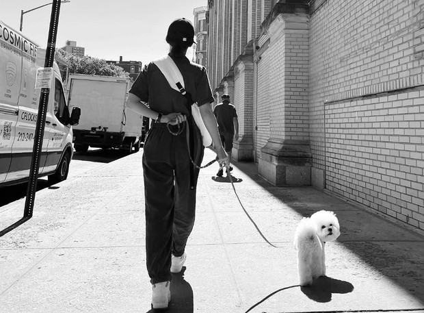 Song Hye Kyo mengajak anjingnya jalan-jalan / Foto: instagram.com/kyo1122