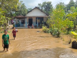 Banjir Rendam Puluhan Hektare Sawah-Sekolah Kediri Hari Pertama Ramadhan