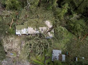 Diterjang Badai, Pohon Tumbang Timpa Rumah di California