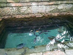 Legenda Lele Putih, Sang Penunggu Kolam Patirtan Candi Penataran Blitar Legenda Lele Putih, Sang Penunggu Kolam Patirtan Candi Penataran Blitar