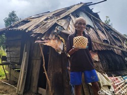 Pilu Lansia Hidup dan Tinggal di Gubuk Reyot di Puncak Gunung Mamasa