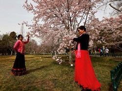 Belajar Bahasa China Mandarin, Mulai dari Angka hingga Kosakata Dasar