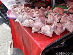 Harga Daging Ayam Tembus Rp 45.000/Ekor, Telur Rp 30.000/Kg