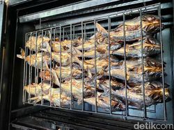 Begini Proses Pembuatan Ikan Asap di Desa Suku Anak Dalam Jambi