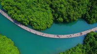 Bukan Lukisan, Intip Indahnya Jalan Terapung Diapit Lembah di China Ini