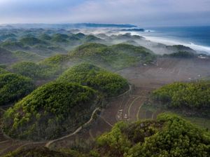 DAS Bribin, Oasis Masa Depan Gunungkidul