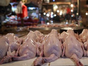 Harga Ayam Naik Jadi Rp 40 Ribu/Ekor, Badan Pangan Buka Suara