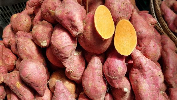 Ubi cocok dijadikan bahan dasar menu takjil/Foto: Pixabay/Suanpa