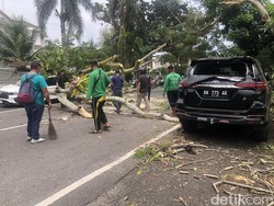 2 Mobil Pengunjung RS Stella Maris Medan Rusak Tertimpa Pohon
