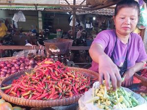 Awal Ramadan, Harga Cabai Rawit di Brebes Tembus Rp 80 Ribu Sekilo Awal Ramadan, Harga Cabai Rawit di Brebes Tembus Rp 80 Ribu Sekilo