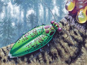 Fosil Kecoak Metalik yang Selamat dari Kepunahan Era Kapur Akhir Ditemukan Fosil Kecoak Metalik yang Selamat dari Kepunahan Era Kapur Akhir Ditemukan