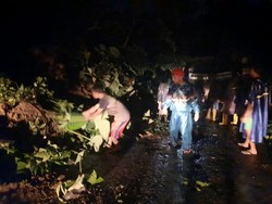 Tebing Longsor di Ngargoyoso Karanganyar, Listrik Putus Tertimpa Pohon